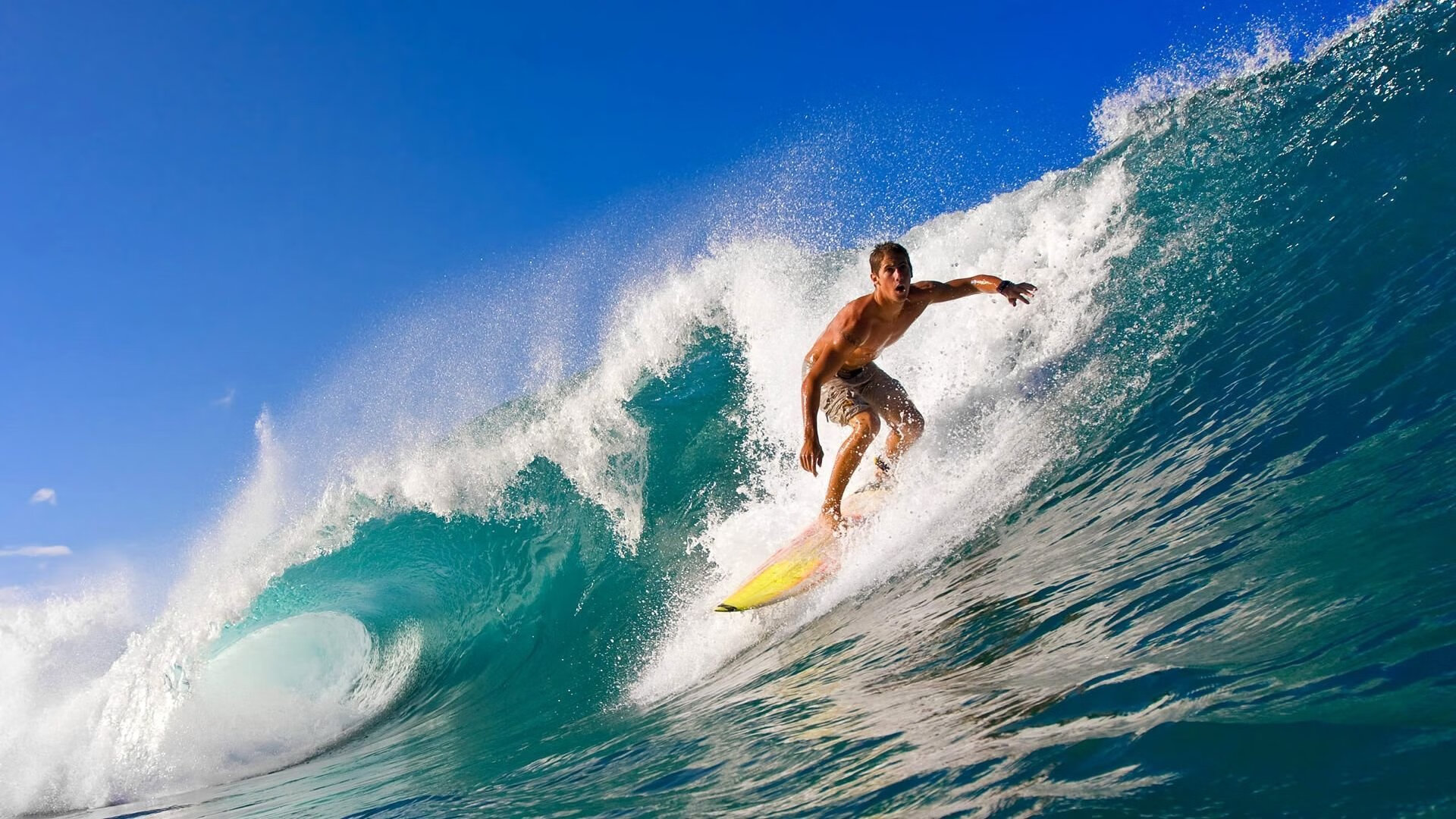 墨尔本联战术配合日趋成熟，墨尔本足球比赛直播